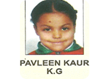 Palveen